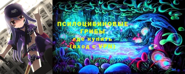 эйфоретик Ельня