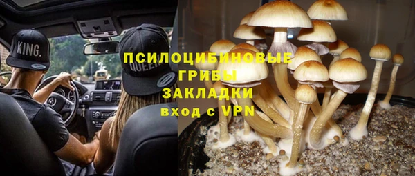 мдма Дмитриев